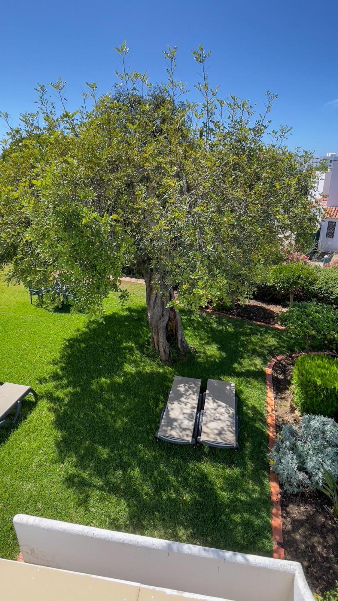 Verde Pino Vilamoura Exteriér fotografie